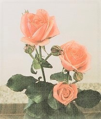 Re